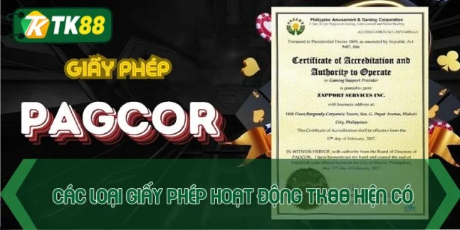 Giấy phép hoạt động TK88 - Cam kết uy tín số 1 châu Á - victory96