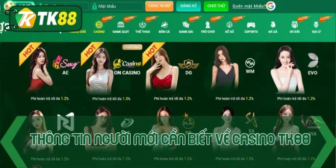 Casino TK88 - Điểm Cá Cược Giải Trí Số 1 Thị Trường Online - victory96