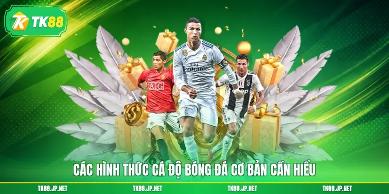 Giải Mã Kèo Nhà Cái - Soi Đâu Thắng Đó, Nhận Thưởng Siêu Lớn - TK88 - victory96