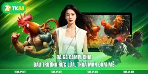 Trải nghiệm đá gà TK88 với 3 hình thức khó lòng rời mắt - victory96