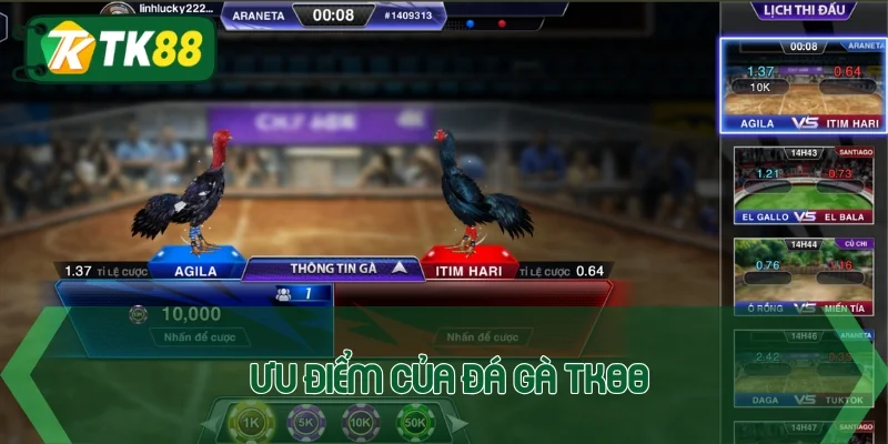 Trải nghiệm đá gà TK88 với 3 hình thức khó lòng rời mắt - victory96