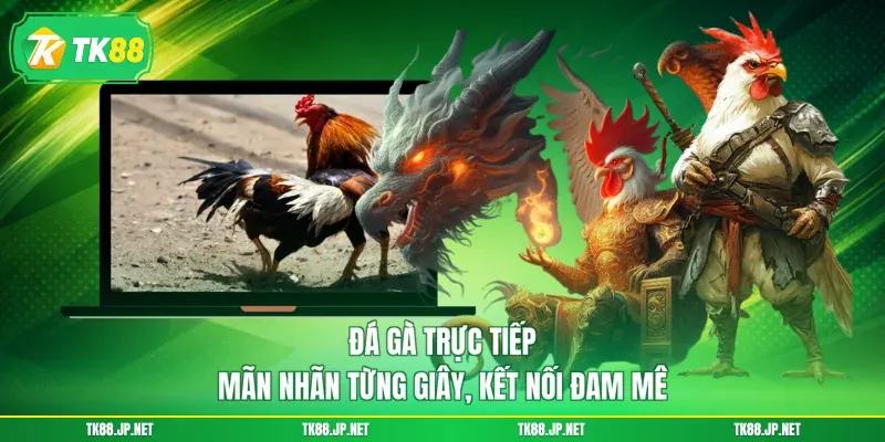 Đá Gà Trực Tiếp - Mãn Nhãn Từng Giây, Kết Nối Đam Mê - victory96