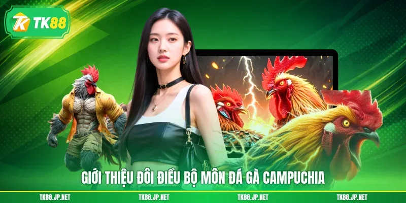 Đá Gà Campuchia - Đấu Trường Rực Lửa, Thỏa Mãn Đam Mê - victory96