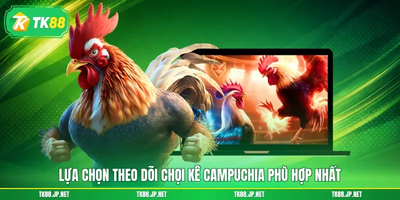 Đá Gà Campuchia - Đấu Trường Rực Lửa, Thỏa Mãn Đam Mê - victory96