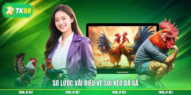 Soi Kèo Đá Gà - Chọn Đúng Chiến Kê, Rinh Về Tiền Thưởng - victory96