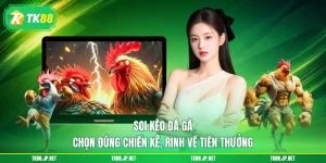 Trải nghiệm đá gà TK88 với 3 hình thức khó lòng rời mắt - victory96