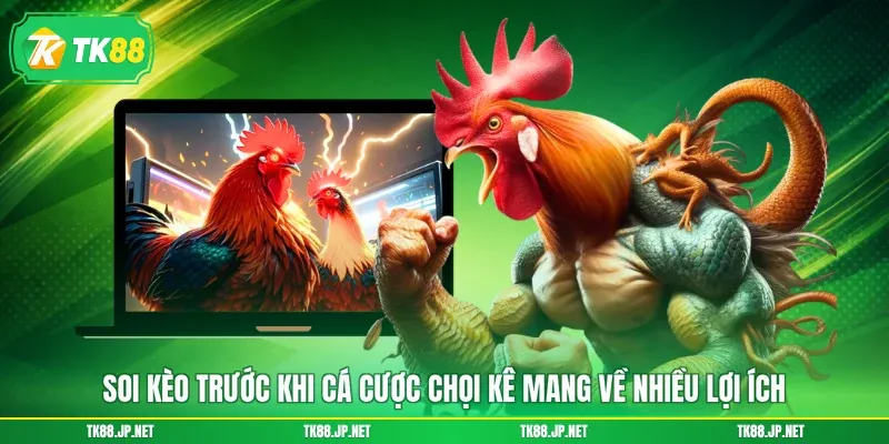 Soi Kèo Đá Gà - Chọn Đúng Chiến Kê, Rinh Về Tiền Thưởng - victory96