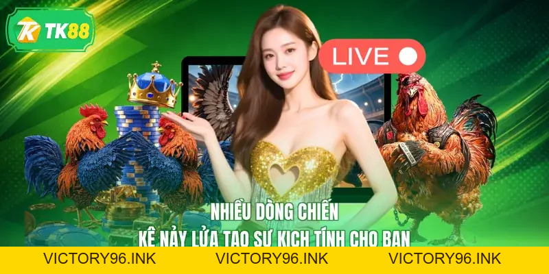 TK88 - Trang Chủ Chính Thức TK88.COM T10 - Đăng Ký Đăng Nhập Tặng 888K - victory96